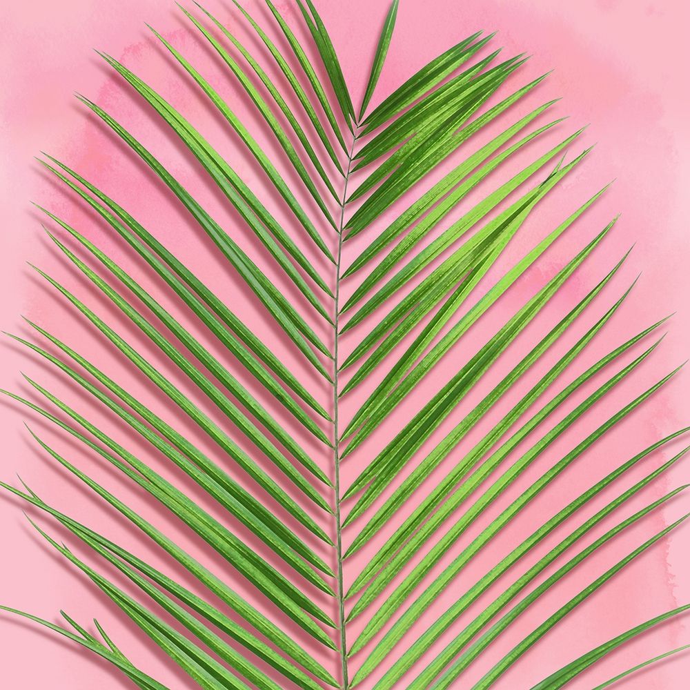 Palm on Pink V art print by Mia Jensen for $57.95 CAD