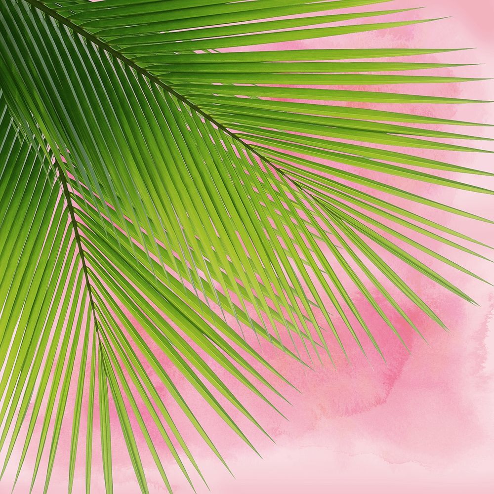 Palm on Pink VI art print by Mia Jensen for $57.95 CAD