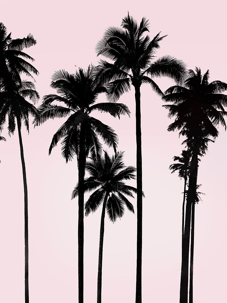 Tall Palms Black on Pink I art print by Mia Jensen for $57.95 CAD