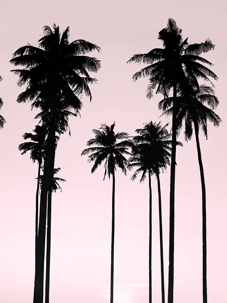 Tall Palms Black on Pink II art print by Mia Jensen for $57.95 CAD