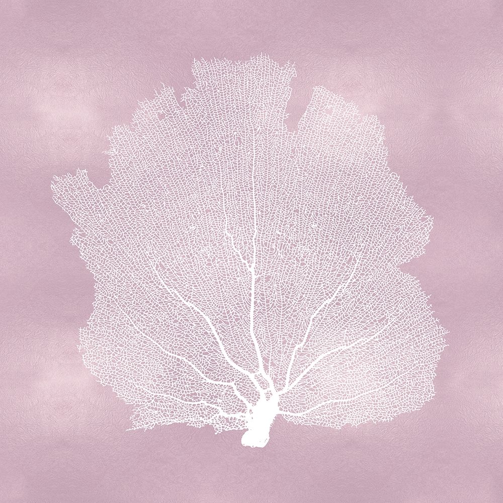 Sea Fan on Pink Blush I art print by Melonie Miller for $57.95 CAD