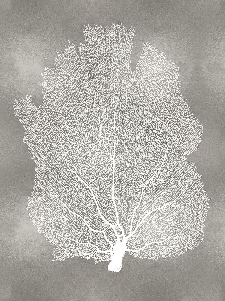Sea Fan on Silver I art print by Melonie Miller for $57.95 CAD