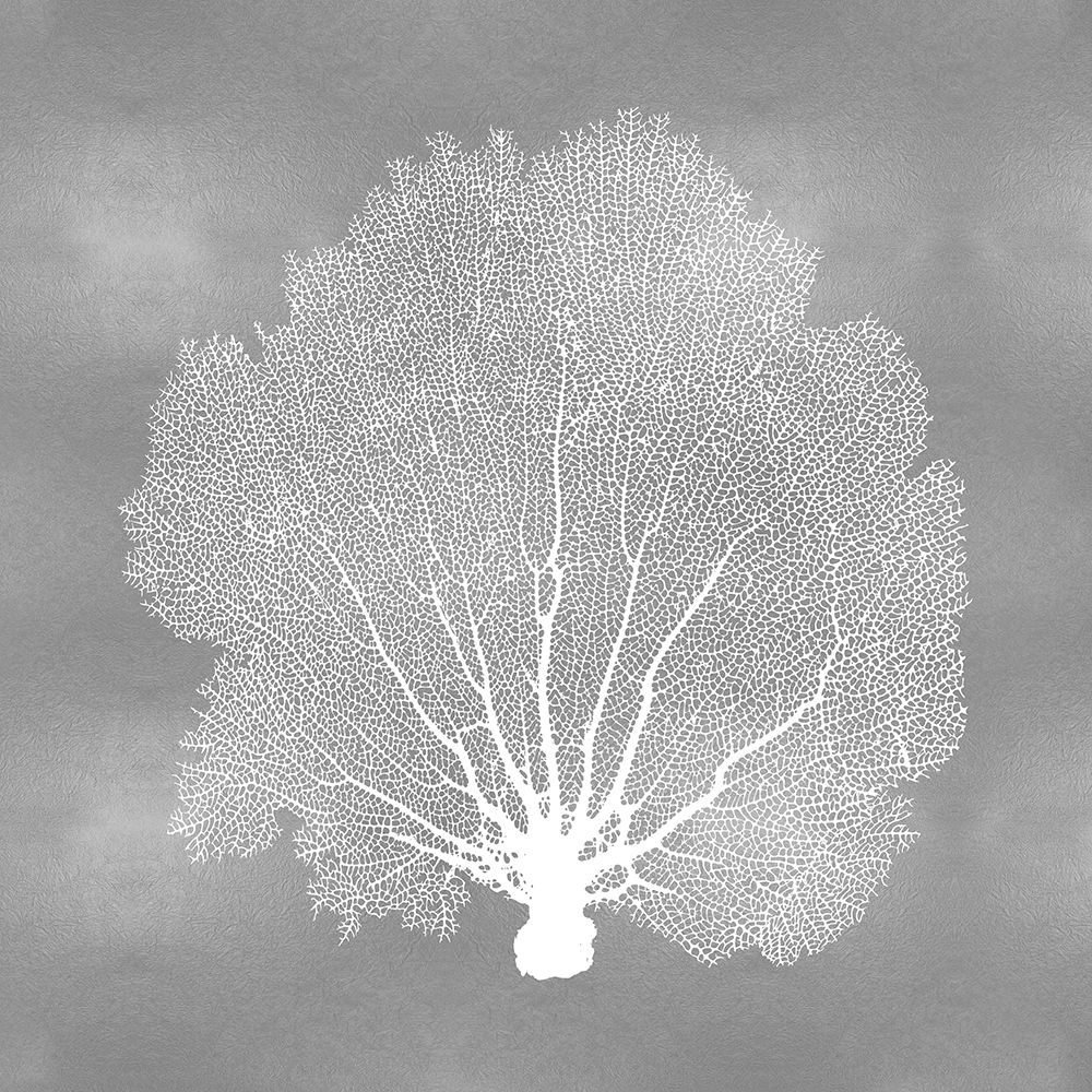 Sea Fan on Silver IV art print by Melonie Miller for $57.95 CAD