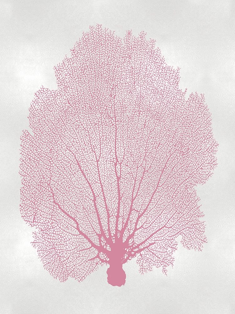 Sea Fan Pink Blush II art print by Melonie Miller for $57.95 CAD