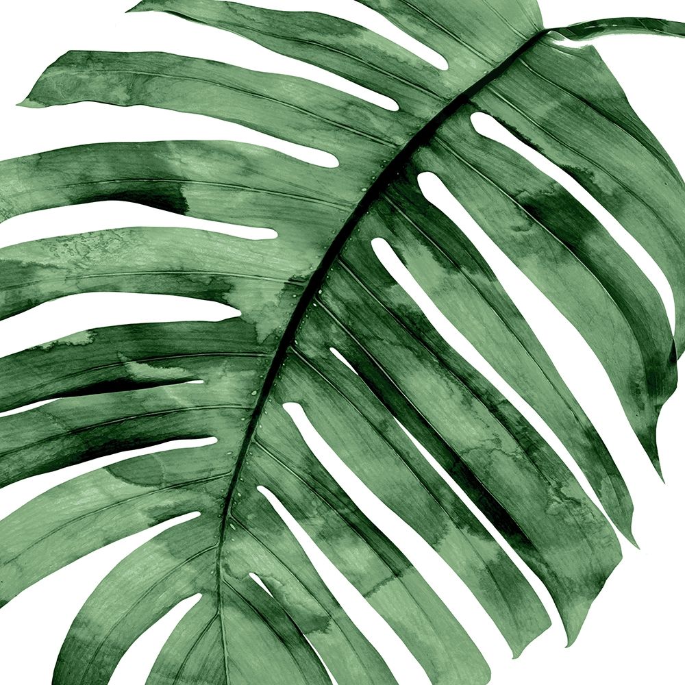 Tropical Green Palm II art print by Melonie Miller for $57.95 CAD