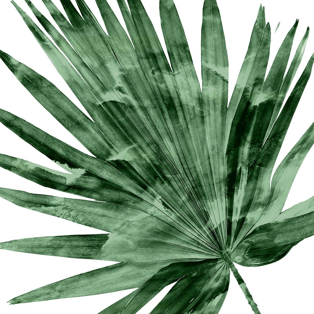 Tropical Green Palm IV art print by Melonie Miller for $57.95 CAD