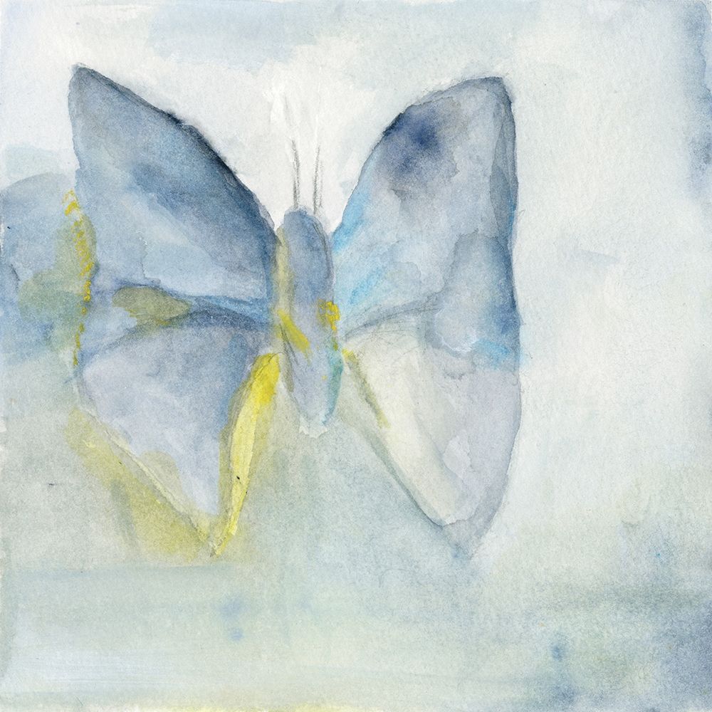 Butterfly V art print by Michelle Oppenheimer for $57.95 CAD