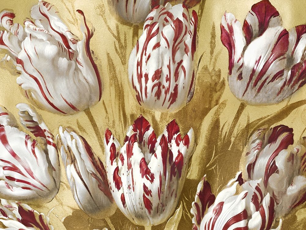 Tulips on Gold II art print by Angela McQueen for $57.95 CAD