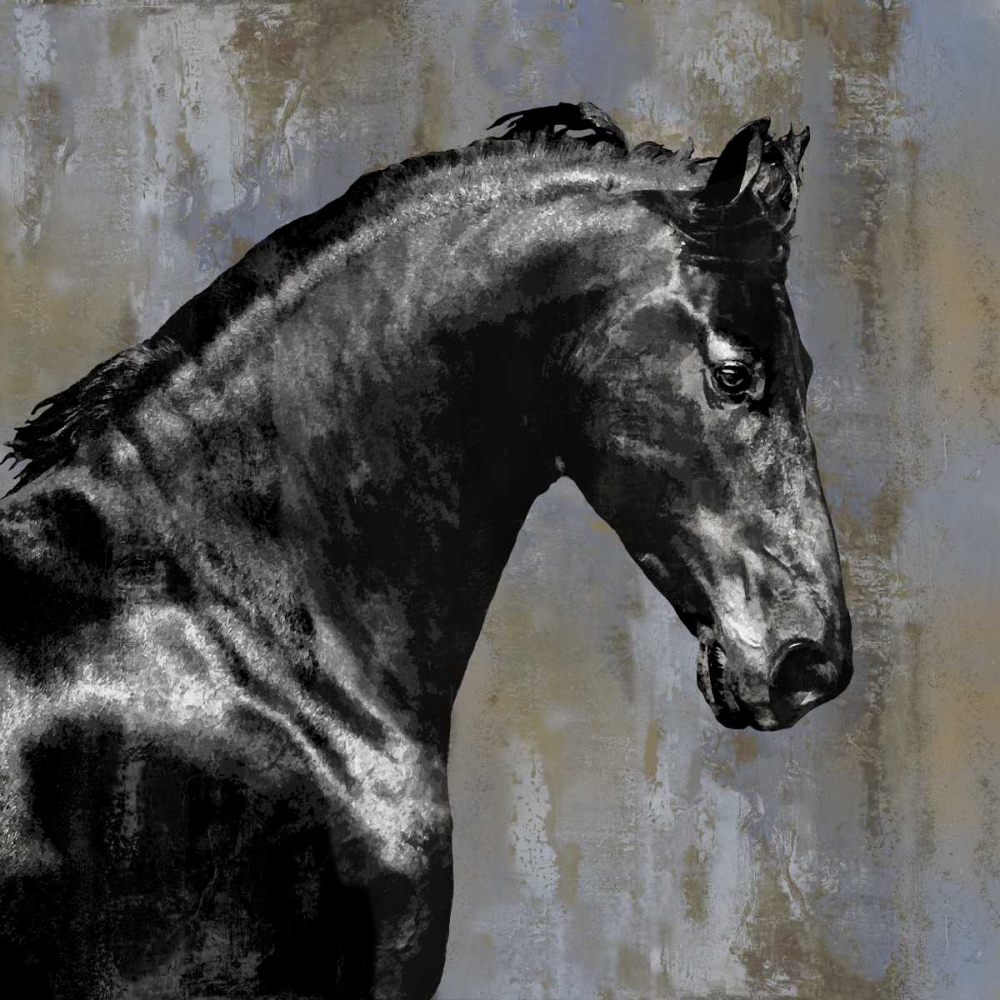 Black Stallion art print by Martin Rose for $57.95 CAD