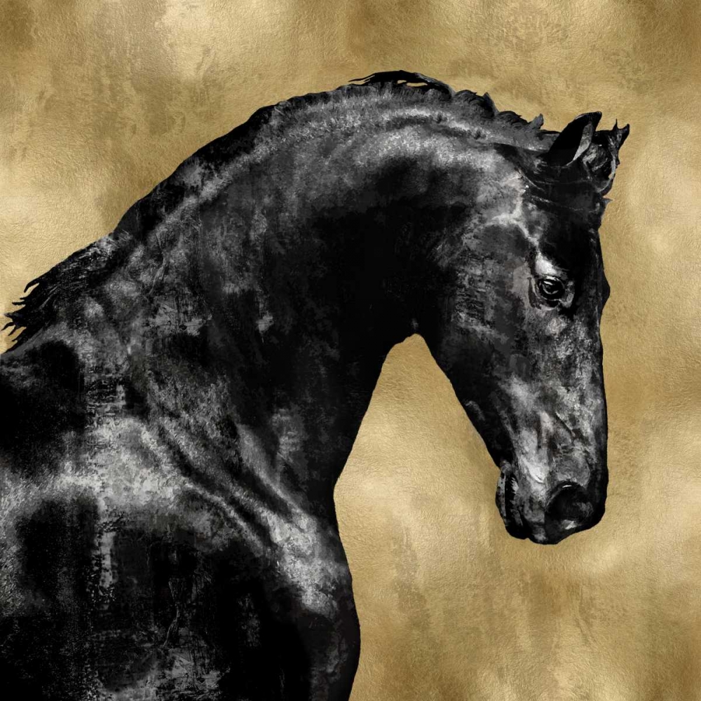Black Stallion on Gold art print by Martin Rose for $57.95 CAD