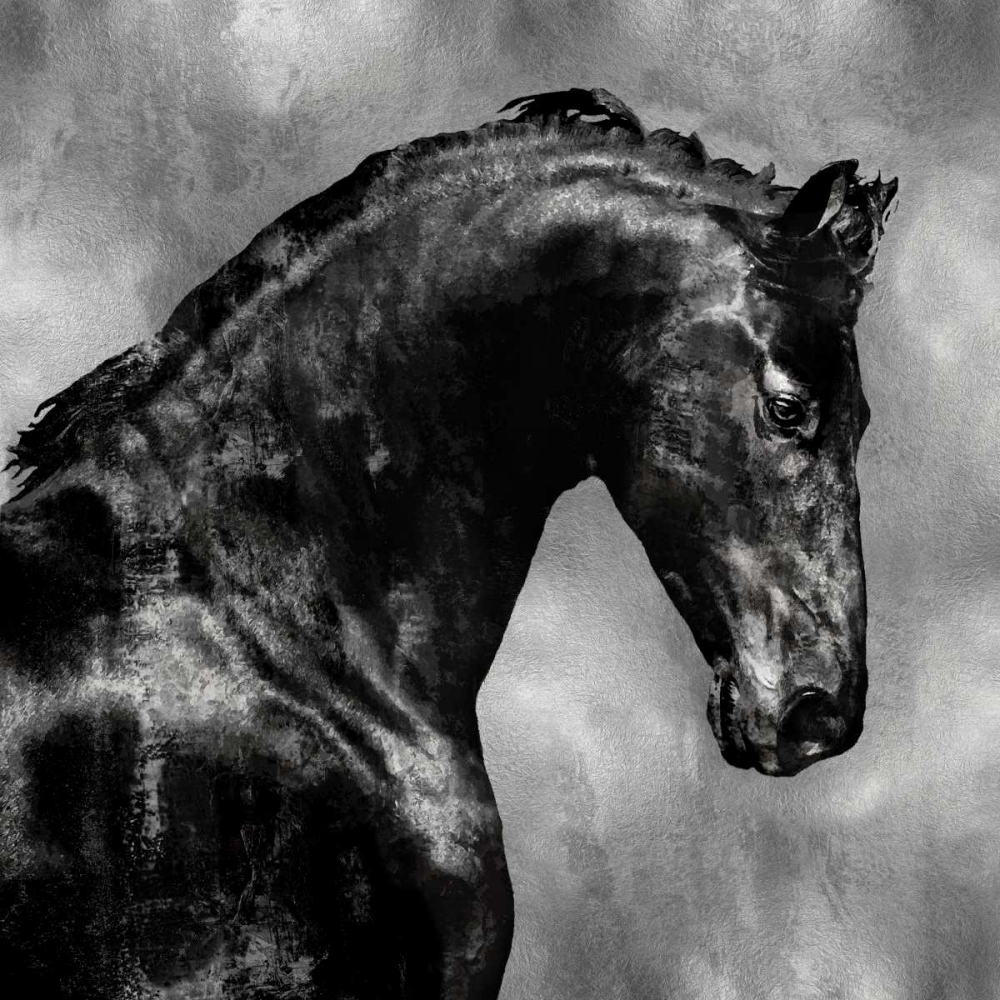 Black Stallion on Silver art print by Martin Rose for $57.95 CAD