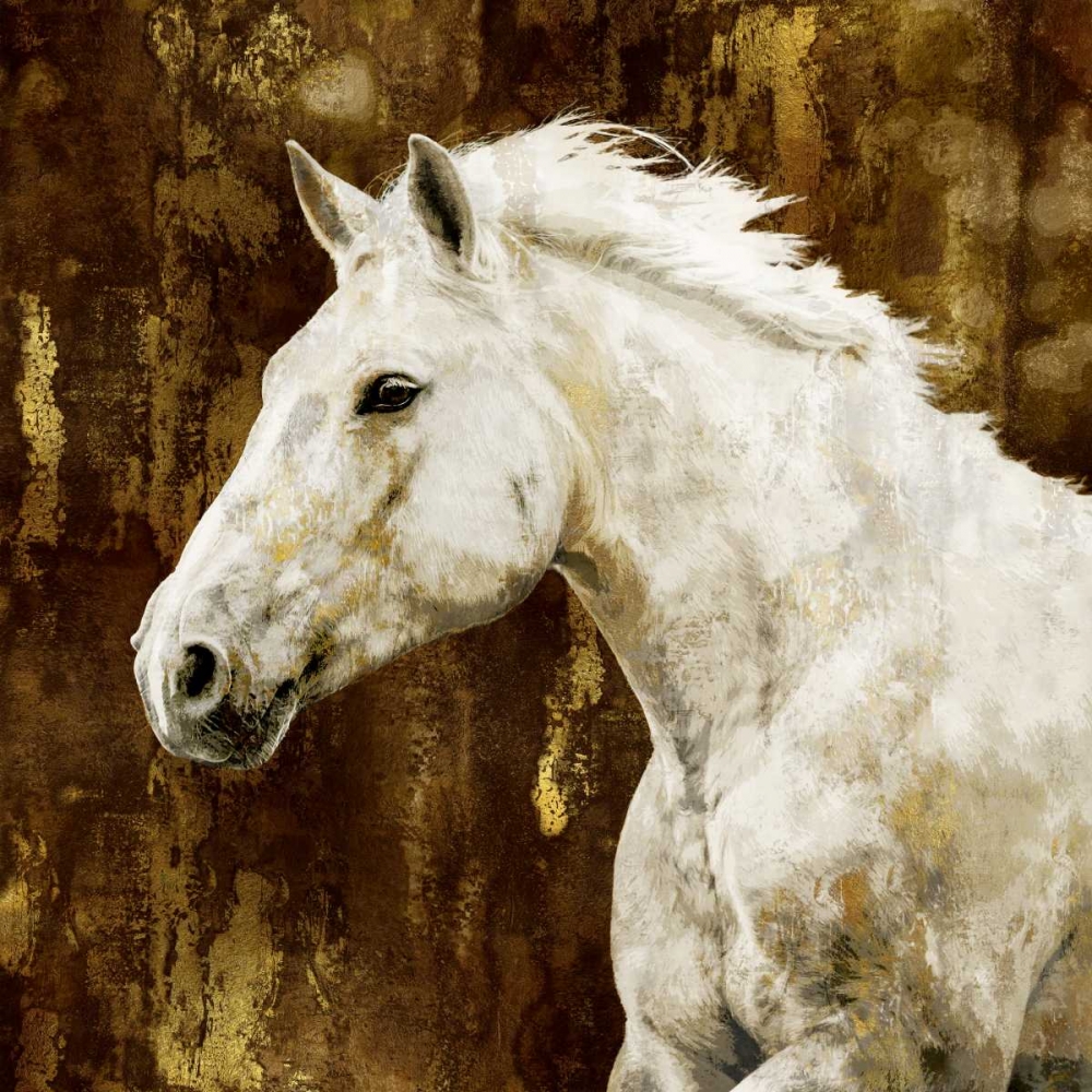 White Stallion art print by Martin Rose for $57.95 CAD