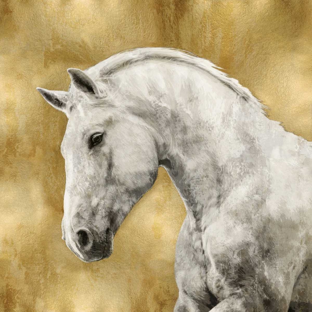 White Stallion on Gold art print by Martin Rose for $57.95 CAD