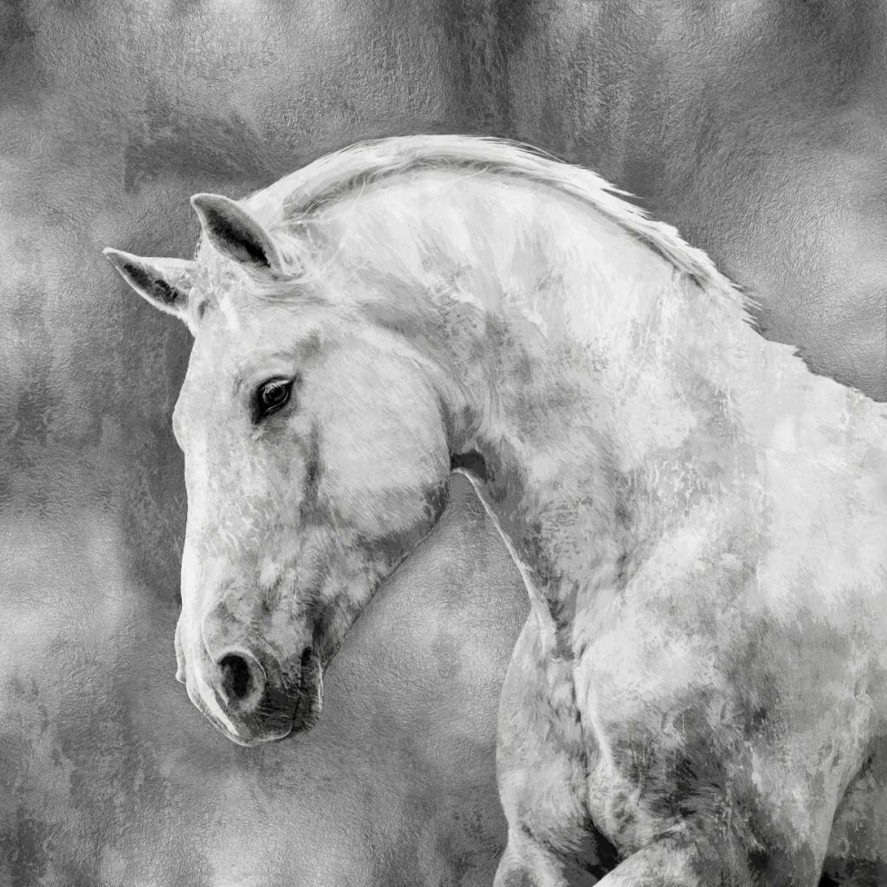 White Stallion on Silver art print by Martin Rose for $57.95 CAD