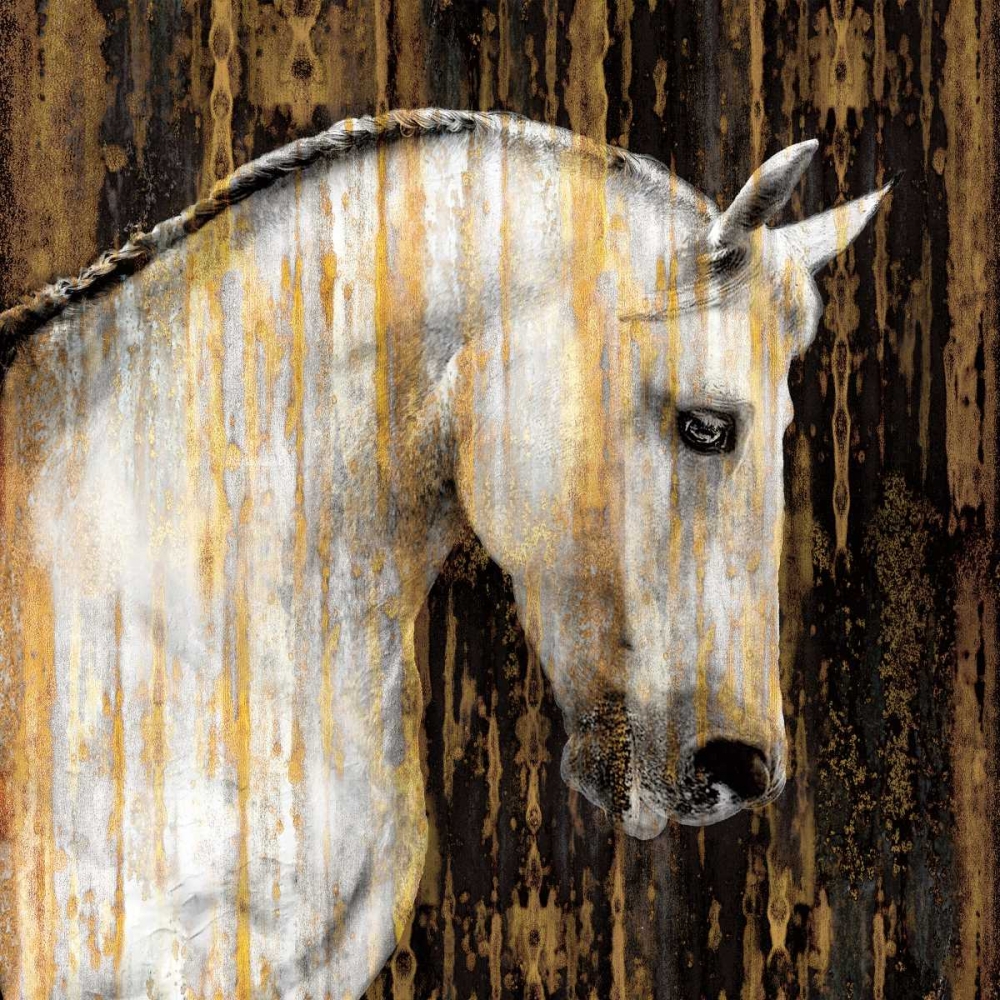 Horse II art print by Martin Rose for $57.95 CAD