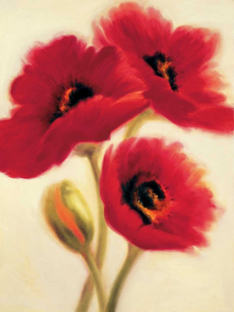 Red Poppies art print by Paula Benson for $57.95 CAD
