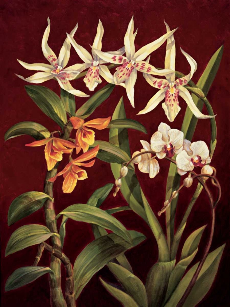 Orchid Trio I art print by Rodolfo Jimenez for $57.95 CAD