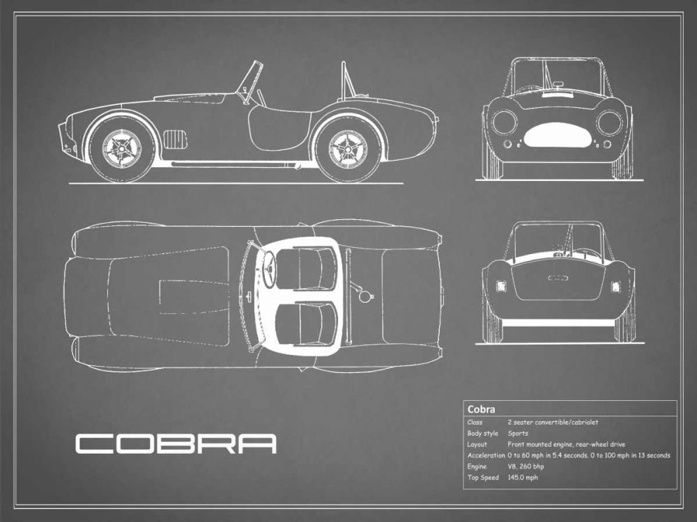 Cobra-Grey art print by Mark Rogan for $57.95 CAD