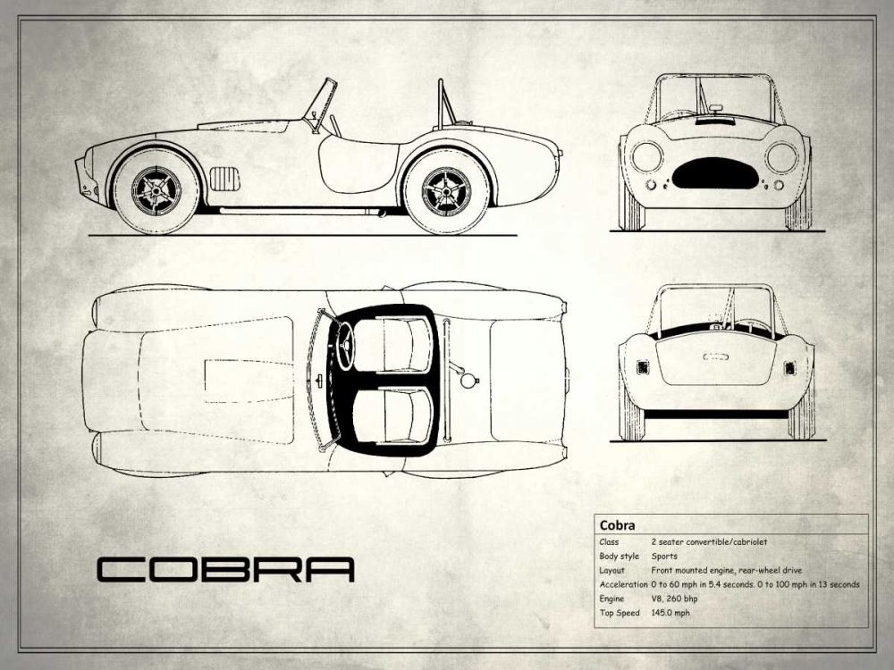 AC Cobra White art print by Mark Rogan for $57.95 CAD