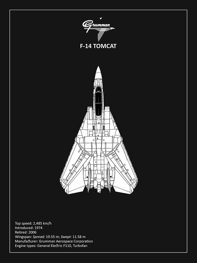 BP F-14-Tomcat Black  art print by Mark Rogan for $57.95 CAD