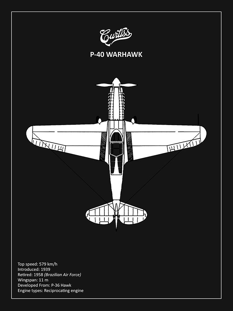 BP P-40 Warhawk Black  art print by Mark Rogan for $57.95 CAD