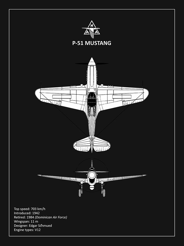 BP P-51 Mustang Black  art print by Mark Rogan for $57.95 CAD