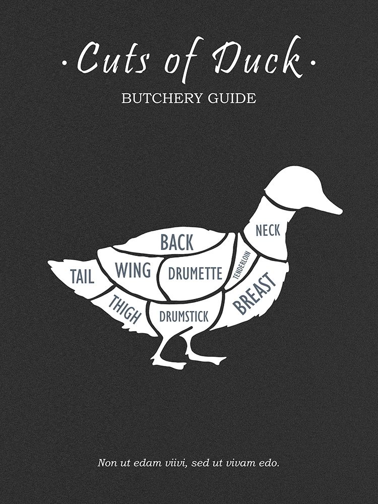  Butchery Duck art print by Mark Rogan for $57.95 CAD