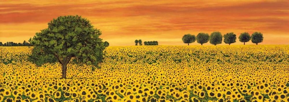 Field of Sunflowers art print by Richard Leblanc for $57.95 CAD