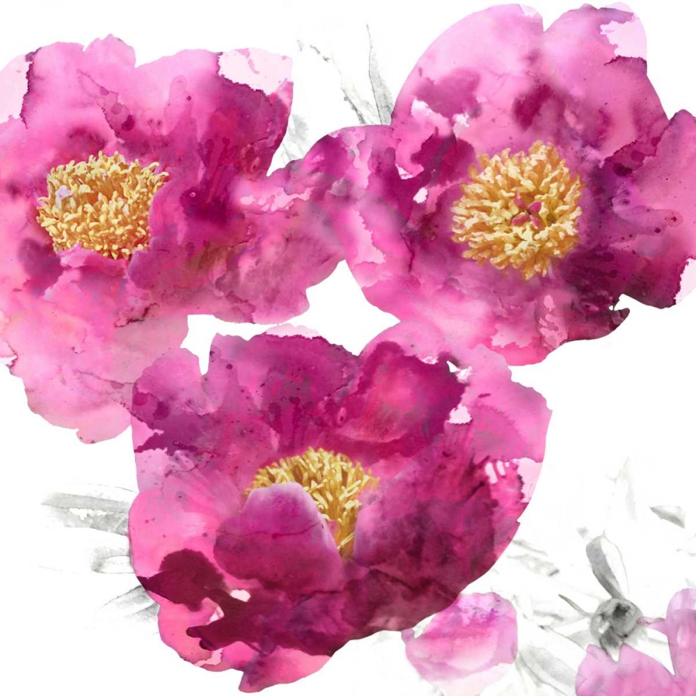 Pink Bloom II art print by Vanessa Austin for $57.95 CAD