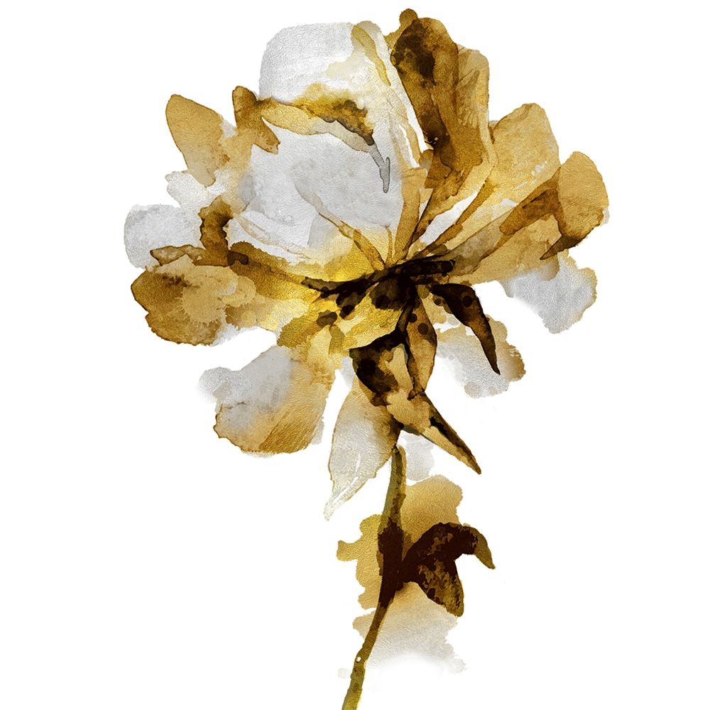 Fresh Bloom I art print by Vanessa Austin for $57.95 CAD