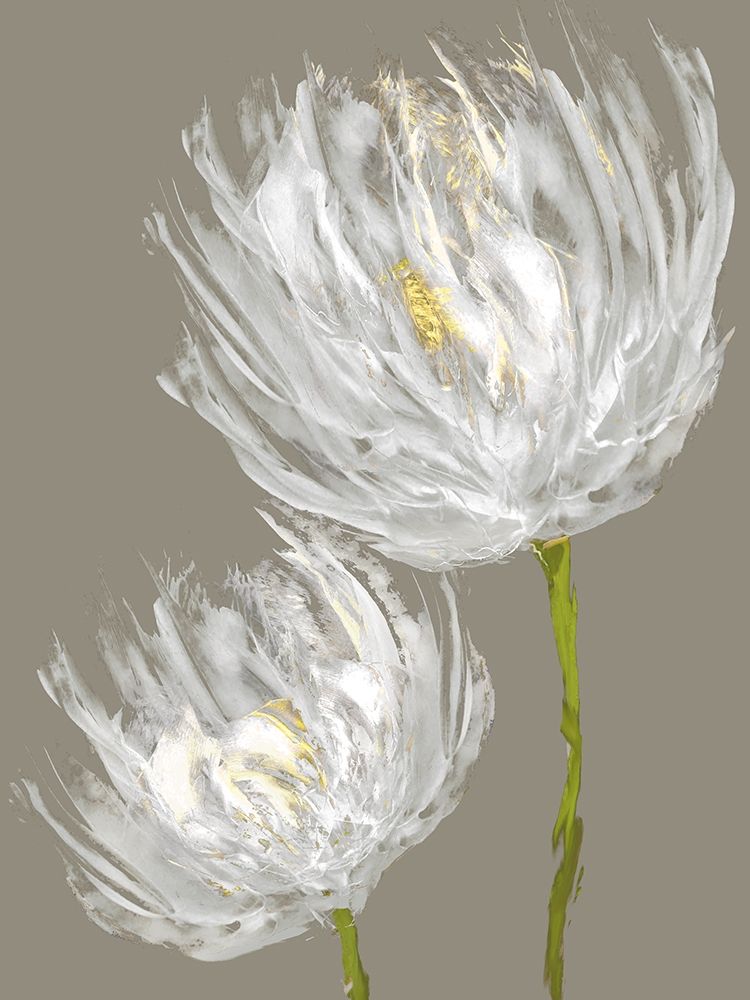 White Tulips II art print by Vanessa Austin for $57.95 CAD