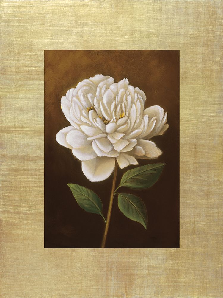 Fleur de Magnolia art print by Virginia Huntington for $57.95 CAD