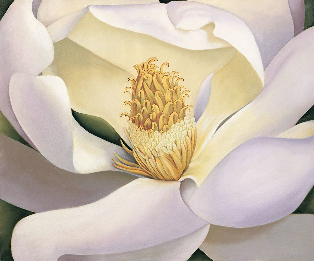 Magnolia art print by Virginia Huntington for $57.95 CAD