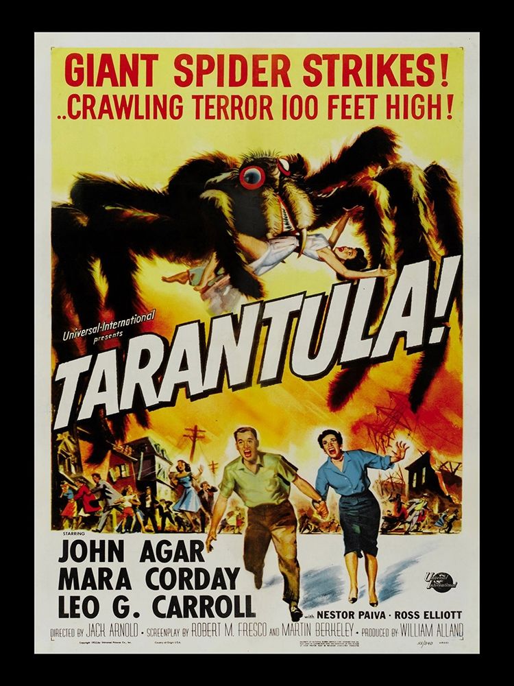Tarantula art print by Anonymous for $57.95 CAD