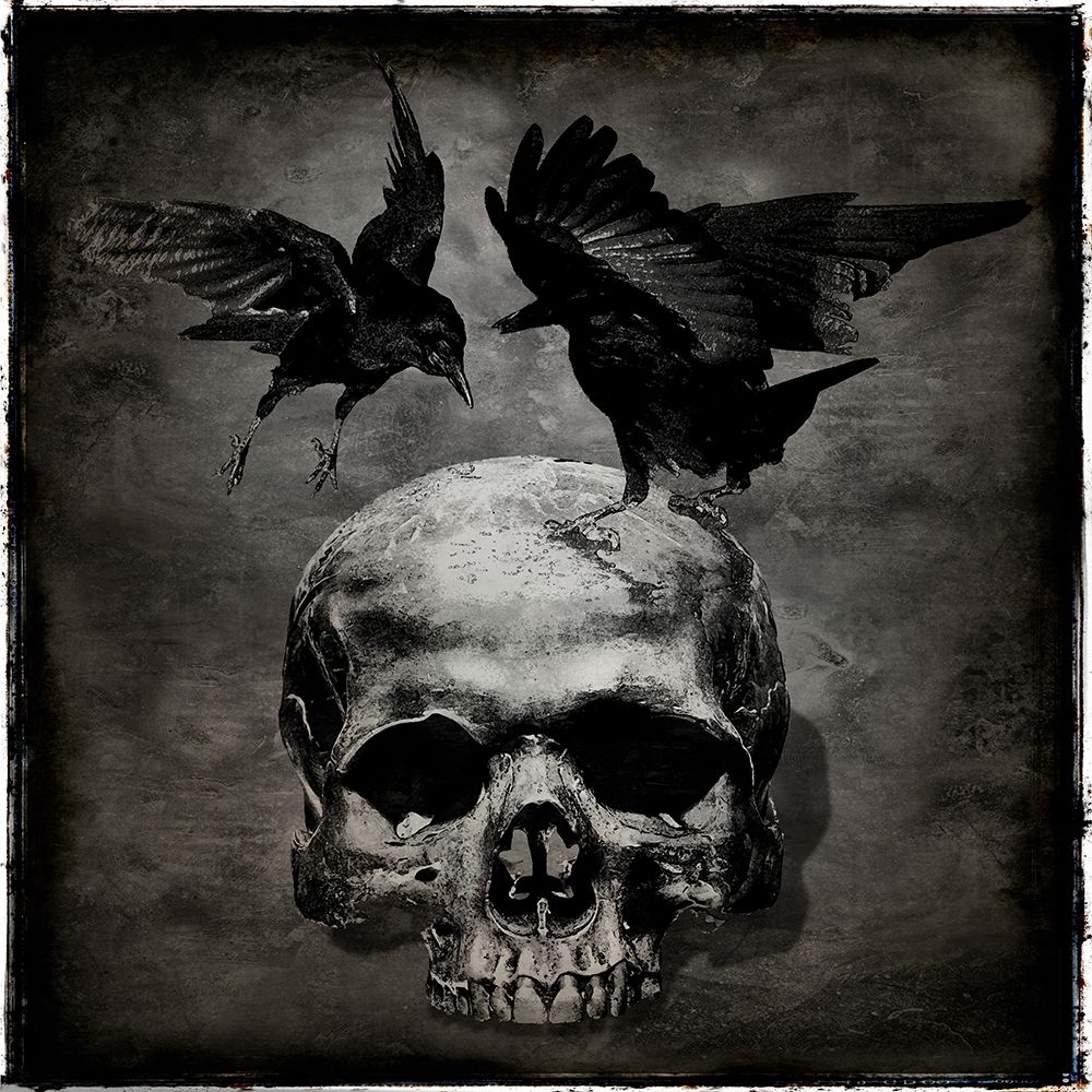 Skull with Crows art print by Martin Wagner for $57.95 CAD