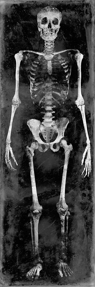 Skeleton II art print by Martin Wagner for $57.95 CAD