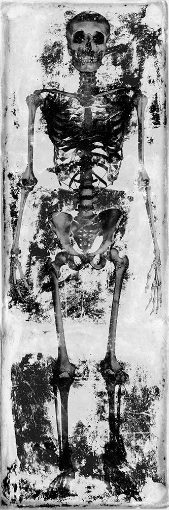Skeleton IV art print by Martin Wagner for $57.95 CAD