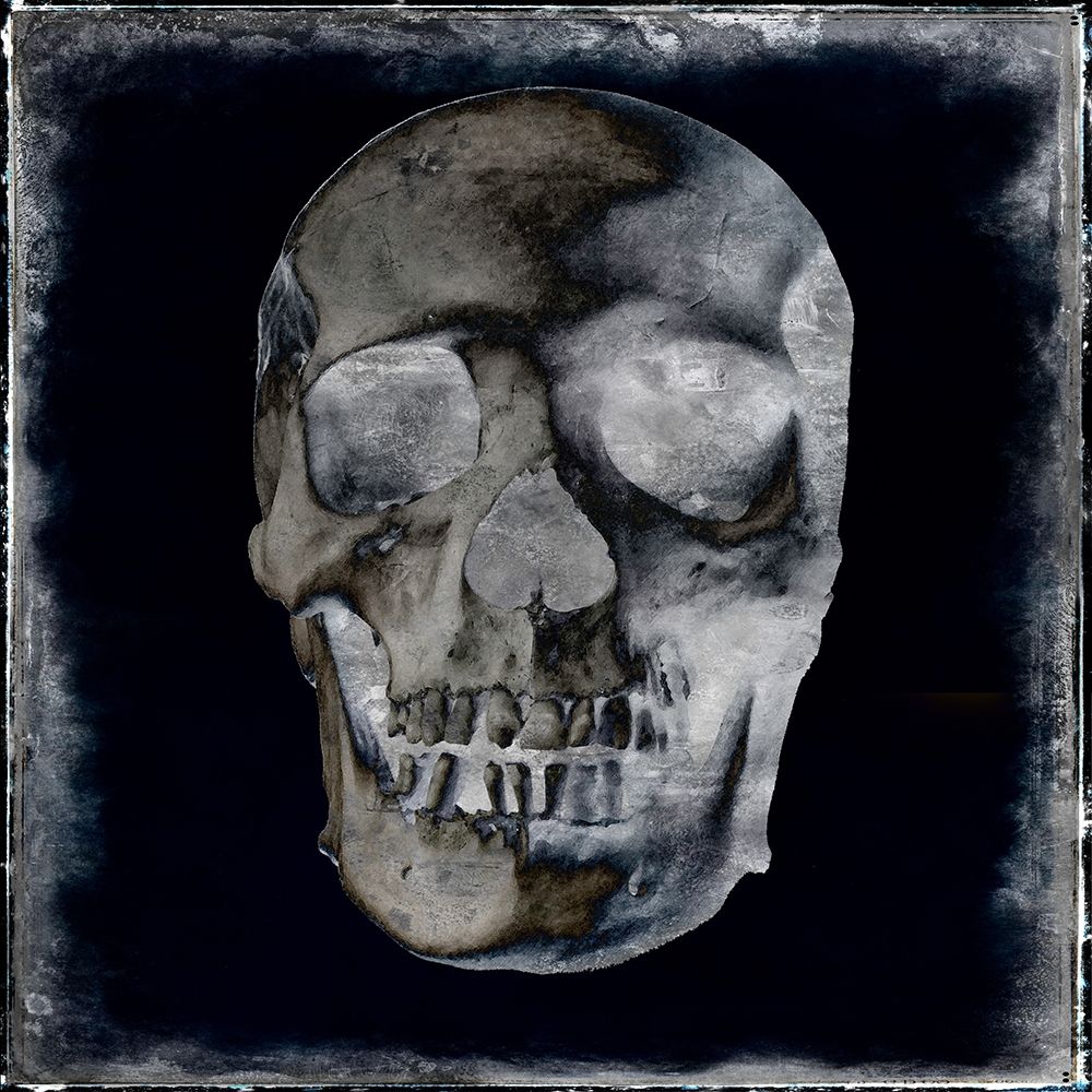 Skull II art print by Martin Wagner for $57.95 CAD