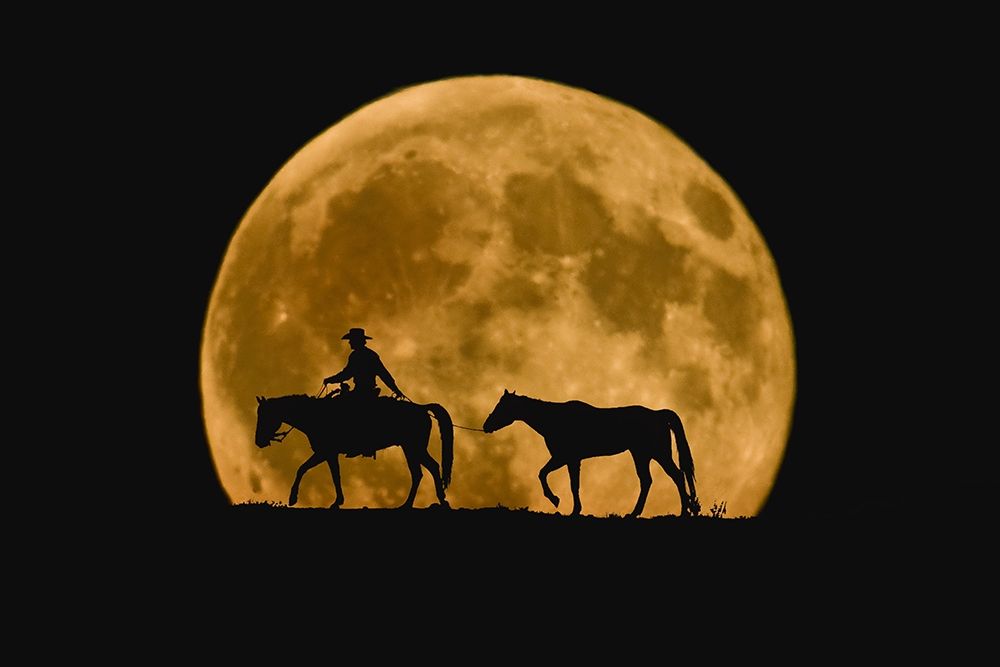 Full Moon Ride art print by Robert Dawson for $57.95 CAD