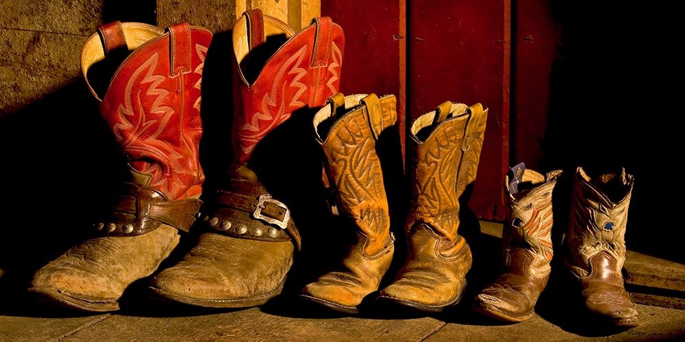 Family of Boots art print by Robert Dawson for $57.95 CAD