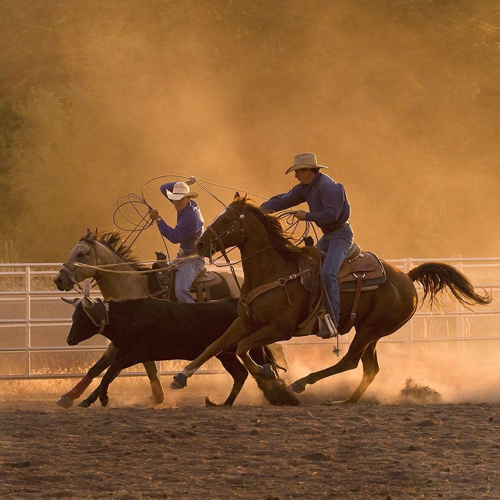 Roping on the Ranch II art print by Robert Dawson for $57.95 CAD