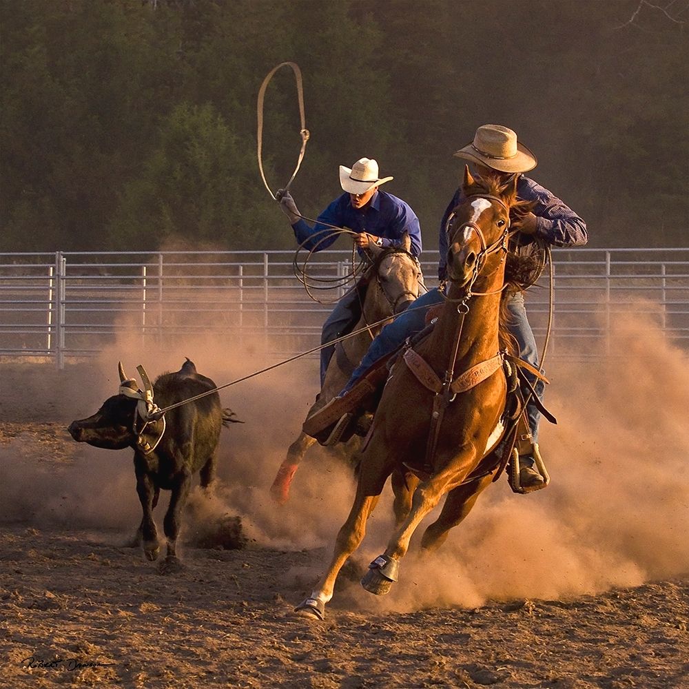 Roping on the Ranch III art print by Robert Dawson for $57.95 CAD