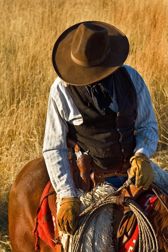 The Plains Drifter art print by Robert Dawson for $57.95 CAD