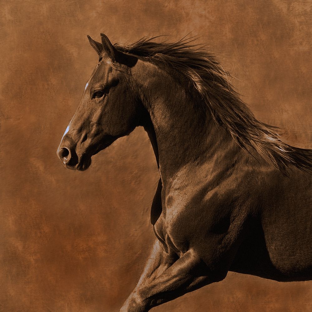 Westward Gallop art print by Robert Dawson for $57.95 CAD