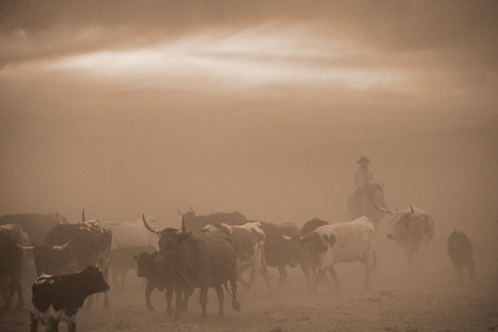 Caught In A Dust Storm art print by Robert Dawson for $57.95 CAD