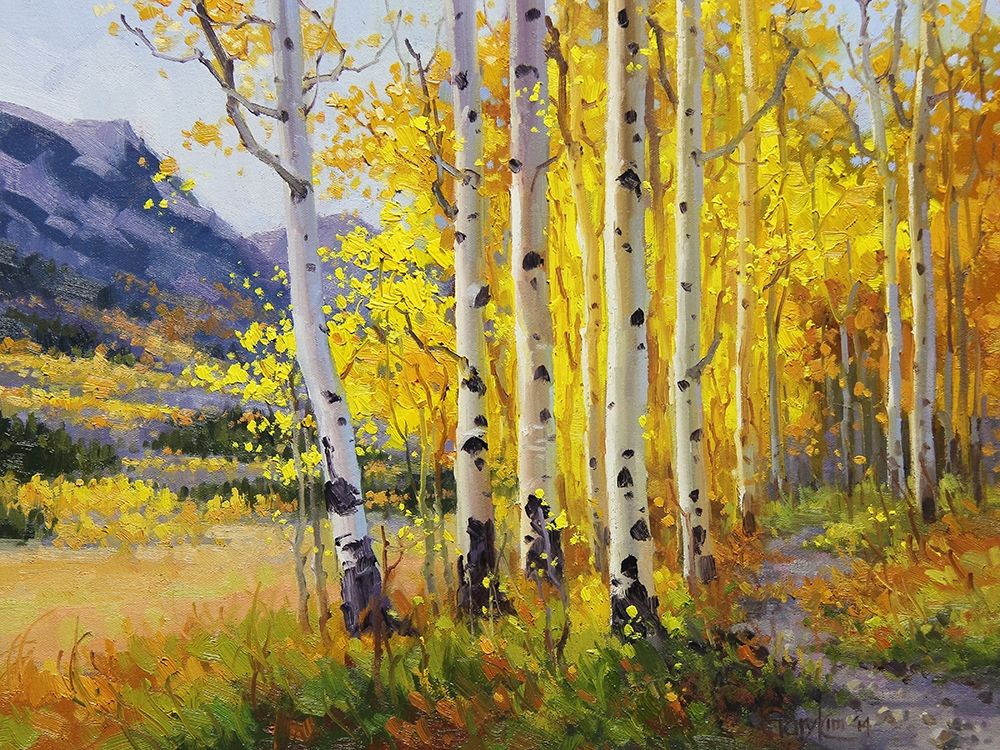 Trail through Golden Aspen art print by Gary Kim for $57.95 CAD