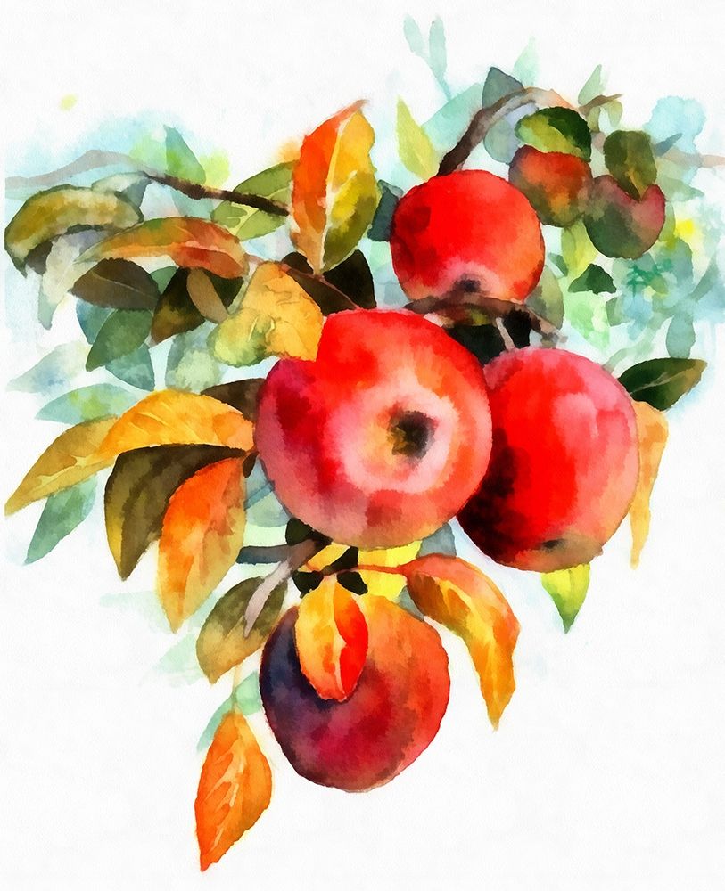 Apples art print by Ronald Bolokofsky for $57.95 CAD