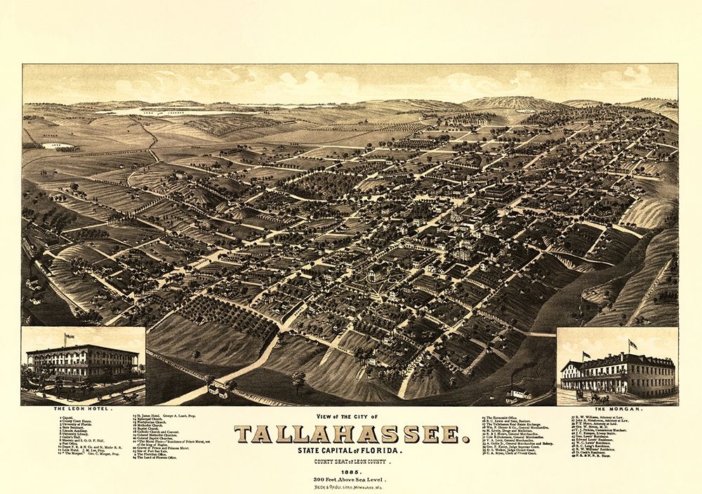 Tallahassee Florida - Beck 1885 art print by Beck for $57.95 CAD