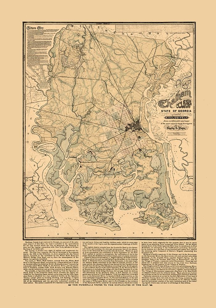 Chatham County Georgia - Platen 1875  art print by Platen for $57.95 CAD