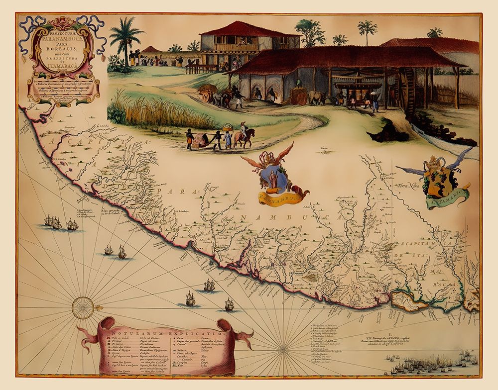 South America Brazil Coast - Blaeu 1662 art print by Blaeu for $57.95 CAD